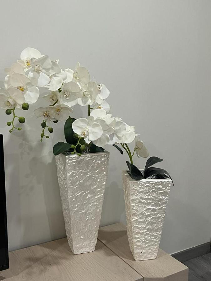 Casa Das Flores Ll 파레드스 드 코라 외부 사진